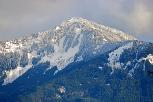 Der Berg Mercer Gipfel Auf Der Fernöstlichen Seite Des Frasertales — Stockfoto