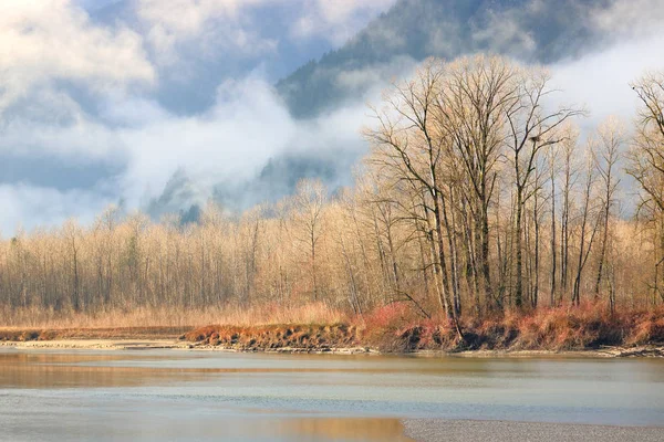 Winding River Forest Seen Winter Months Southern British Columbia Canada — 图库照片