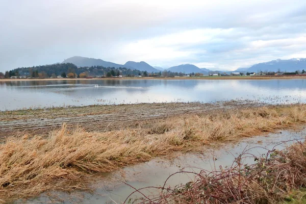 Vue Panoramique Des Terres Agricoles Inondées Après Fortes Pluies Hivernales — Photo
