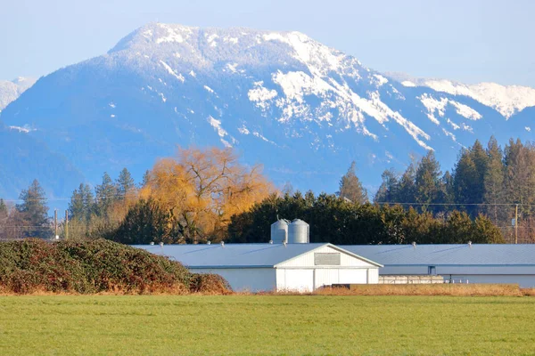 Dichtbij Uitzicht Het Winterlandschap Met Een Besneeuwde Bergketen Achter Landbouwgebouwen — Stockfoto