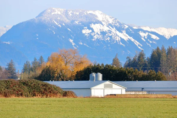 Vue Rapprochée Paysage Rural Hivernal Avec Une Chaîne Montagnes Enneigée — Photo