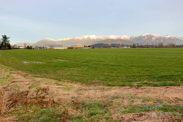 Norr Jordbruksvall Och Douglas Ranges Längs Nordöstra Sidan Fraser Valley — Stockfoto