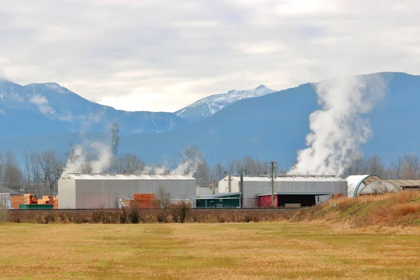 Large Vue Paysage Une Scierie Très Fréquentée Nichée Dans Une — Photo