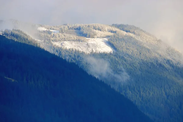 冬の数ヶ月と雪の蓄積は 明確な伐採森林が行われているブリティッシュコロンビア州南部の地域を区別するのに役立ちます — ストック写真