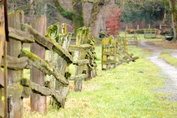 Depth Field Long Pioneer Fence Covered Moss Leaning Age Still — Stock Photo, Image