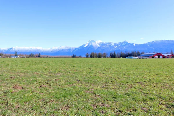 Cheam Range Mount Cheam Dominating Winter Landscape British Columbia Canada — Stock Photo, Image