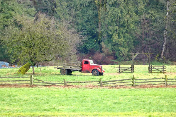 Weitwinkelblick Auf Einen Alten Roten Lkw Grasbewachsener Winterlicher Ländlicher Umgebung — Stockfoto
