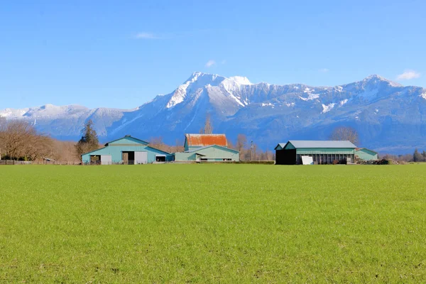 Media Ampia Veduta Una Collezione Vecchi Edifici Agricoli Usati Con — Foto Stock