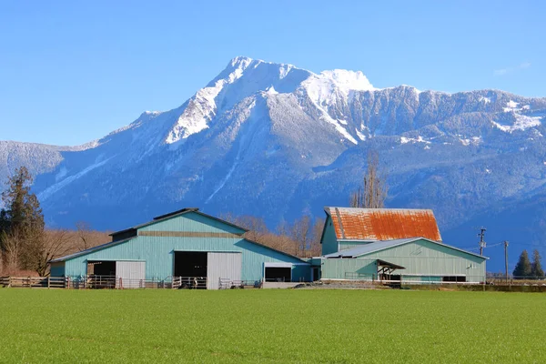 Close View Collection Old Used Farm Buildings Beautiful Snow Capped — Stock Photo, Image