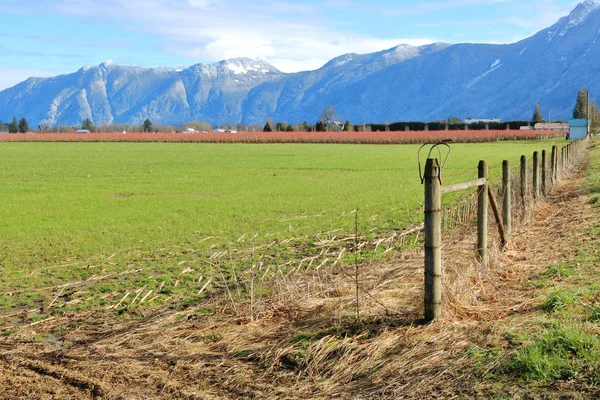 Wide Landscape View Fraser Valley Southern British Columbia Canada Fence — Stock Photo, Image