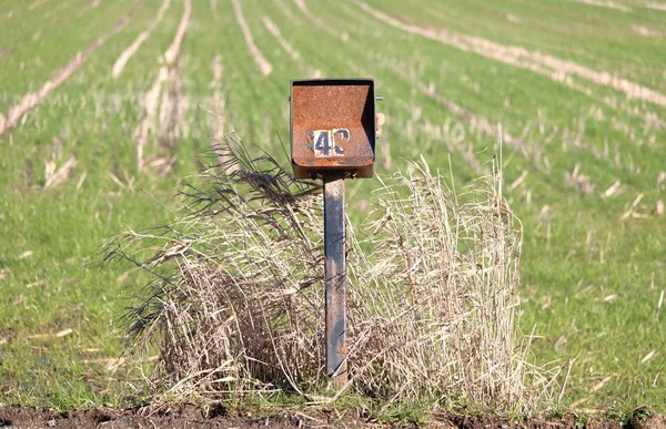 何十年もの間田舎の畑に立っていた錆びた古い国の郵便受け — ストック写真
