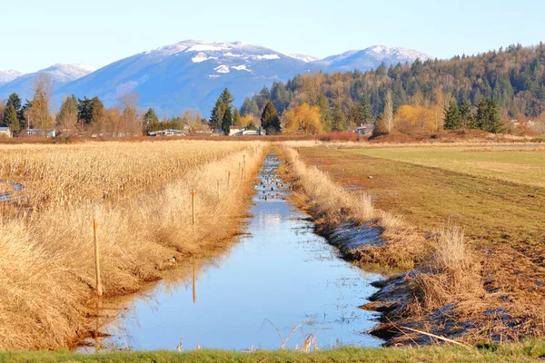 Vue Large Canal Irrigation Rural Rempli Pluie Hivernale Pour Les — Photo