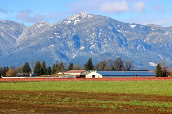 Landschapszicht Ranch Van Bergvallei Wintermaanden Waar Een Boerderij Meerdere Soorten — Stockfoto