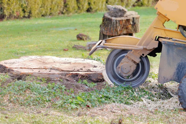 Wide View Large Spinning Blade Part Stump Grinding Machine Used — 스톡 사진