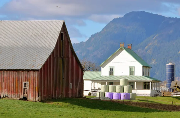 Porträtt Bergsgård Med Olika Byggnader Och Höbalar Mot Bergsbakgrund — Stockfoto