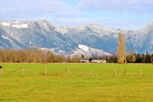 Uitzicht Het Platteland Gevestigde Bedrijfsgebouwen Tijdens Wintermaanden Langs Kustlijn Van — Stockfoto