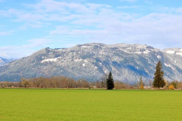 Vidsträckt Vidsträckt Utsikt Över Gräsmark Landsbygden Vintermånaderna Längs Stilla Havskusten — Stockfoto