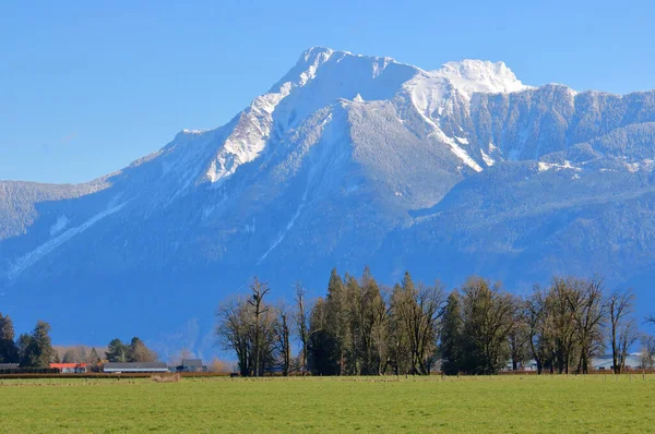 Den Höga Mount Cheam Dominerar Landskapet Landsbygden Sydvästra British Columbia — Stockfoto