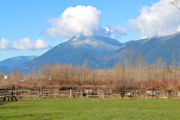Amplia Vista Corral Caballos Situado Valle Montaña Durante Temporada Primavera — Foto de Stock