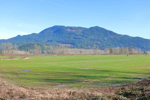 Wide Open Green Landscape Rural Grassland Set Mountain Valley Early — Stock Photo, Image