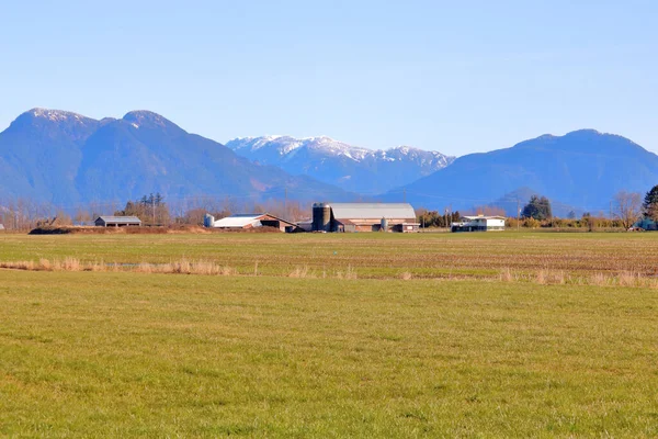 Catena Della Valle Del Nord Una Fattoria Ben Consolidata Nel — Foto Stock