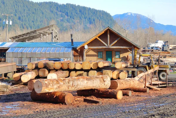 Wide View Small Saw Mill West Coast Cedar Board Manufactured — Stock Photo, Image