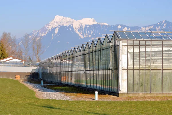 Profile View Large Greenhouse Business Front Large Snow Capped Mountain — Stock Photo, Image