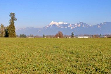 The Fraser Valley in southern British Columbia, Canada and the Cascade Mountain Range with Mount Cheam bordering in the distant background on a sunny spring day.  clipart