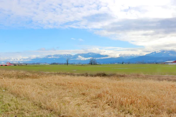 Wide Landscape View Agricultural Grassland Various Conditions Long Winter Fraser — Stock Photo, Image