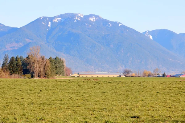 Vue Dégagée Sur Les Collines Hautes Vallonnées Surplombant Les Prairies — Photo