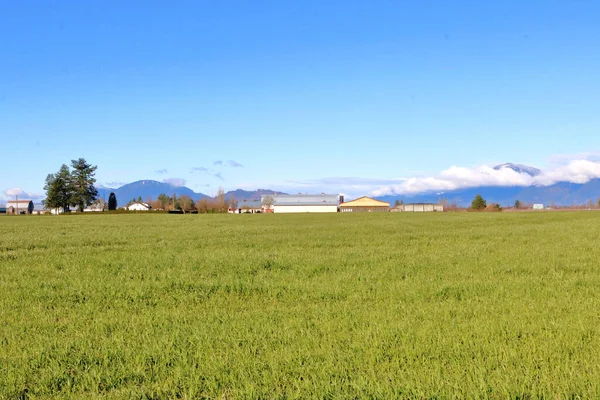 一个农业区的山谷景观 春天会在那里生产出一亩草地 为牲畜提供食物 — 图库照片