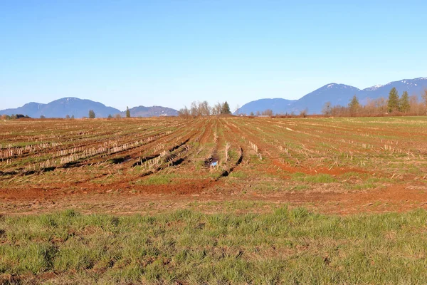 Ampla Vista Das Ricas Terras Agrícolas Marrons Encontradas Sul Vale — Fotografia de Stock