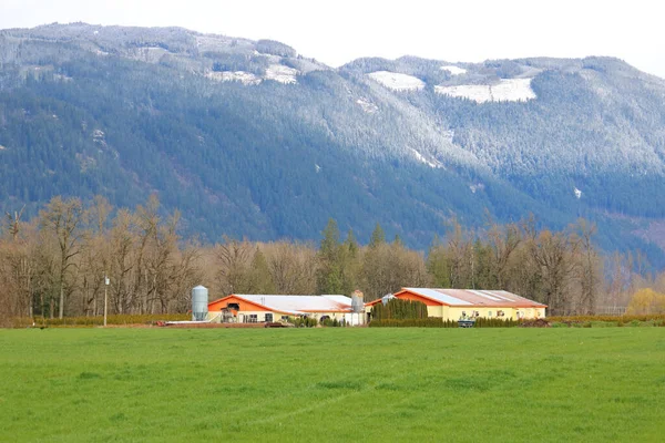 Tall Rolling Hills Distinctive Snowline Surrounds Old Farm Buildings Lush — Stock Photo, Image