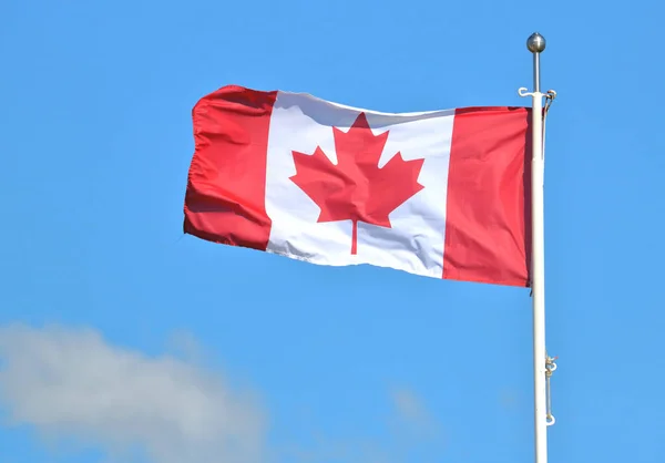 Kanadyjska Flaga Wisząca Prawo Lewo Silnym Wietrze Uchwyconym Pogodny Słoneczny — Zdjęcie stockowe