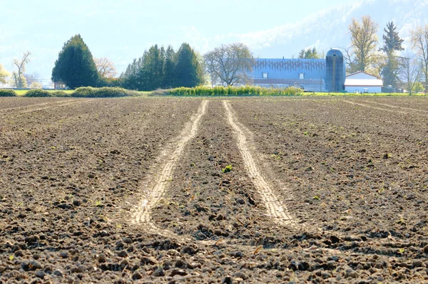 Twee Rechte Onderscheidende Bandensporen Leiden Een Recent Geploegd Landbouwveld Dat — Stockfoto