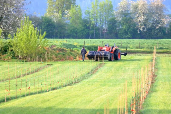 Agricultor Tractor Cargados Mangueras Que Instalarán Para Regar Los Cultivos —  Fotos de Stock