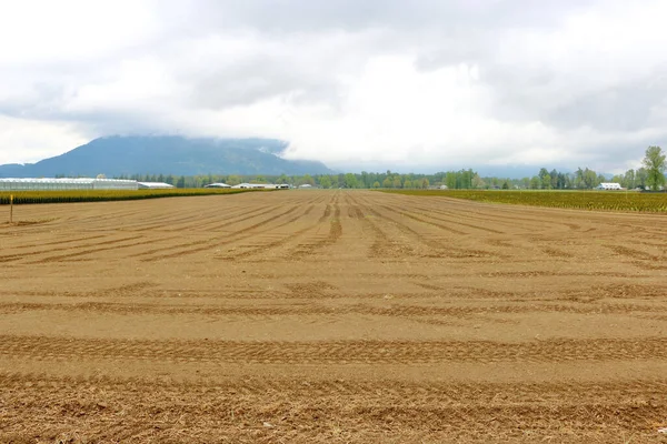 Vue Ensemble Des Terres Agricoles Défrichées Labourées Prêtes Être Ensemencées — Photo