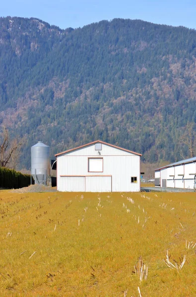 Vista Vertical Los Edificios Agrícolas Silo Campo Cubierto Hierba Del — Foto de Stock