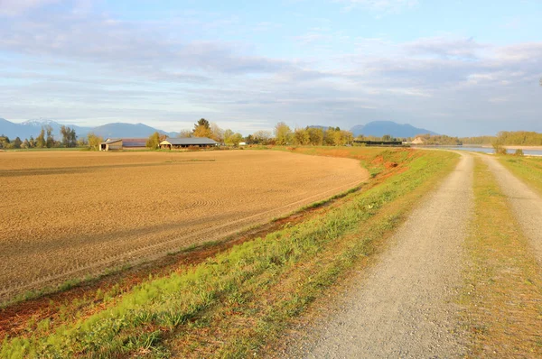 Tavasszal Völgyben Lágyan Kivilágítják Kanyargós Utat Frissen Ültetett Mezőgazdasági Területeket — Stock Fotó