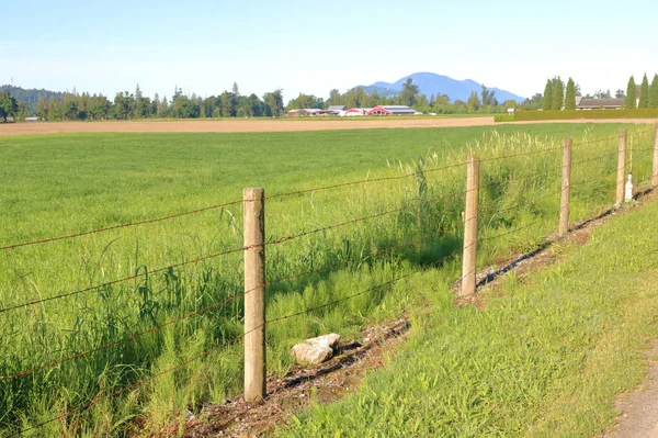 Een Hek Met Prikkeldraad Markeert Landbouwgrond Waar Het Voorjaar Grasland — Stockfoto