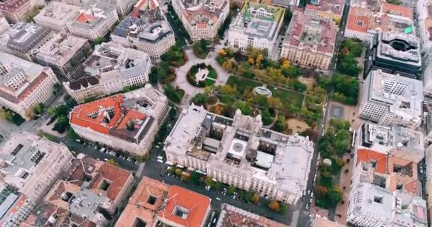 Голодним Будапешта міст Свободи drone трамвай — стокове відео