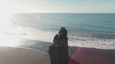 Güzel Reynisfjara Beach uzun bazalt deniz deste ile