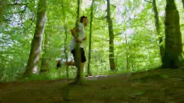 Uomo che corre tra gli alberi nella foresta — Video Stock