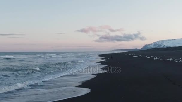 Onde che si infrangono sulla spiaggia di sabbia nera — Video Stock