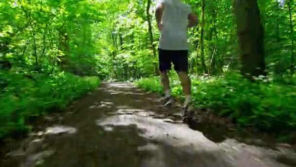 Sporty Man Running On Trail In Forest — Stock Video