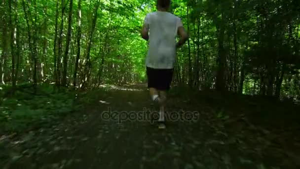 Людина біжить серед дерев у лісі — стокове відео