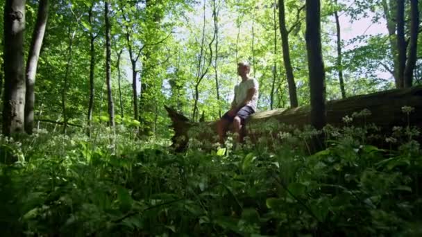 Джоггер відпочиває на занепалому дереві в лісі — стокове відео