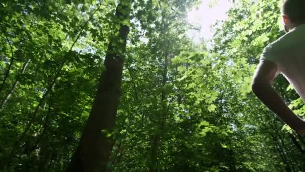 Läufer steht im Wald — Stockvideo