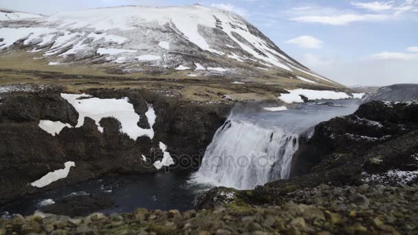 Cascata islandese dalla montagna innevata — Video Stock