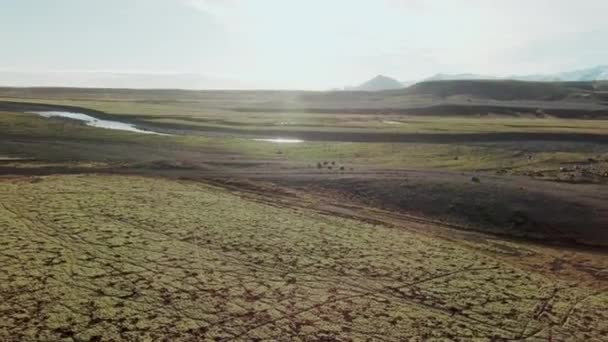 Corriente en medio del paisaje islandés — Vídeo de stock